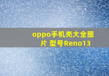 oppo手机壳大全图片 型号Reno13